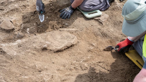 Volunteers take part in an archaeology excavation, at the Festival of Archaeology at Divis and the Black Mountain. They use , using trowels and other tools to carefully uncover remains.